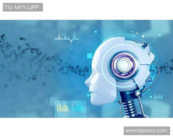 足球骑士的魅力与挑战全面解析与发展前景展望