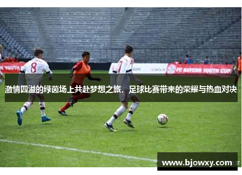 激情四溢的绿茵场上共赴梦想之旅，足球比赛带来的荣耀与热血对决