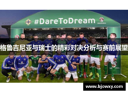 格鲁吉尼亚与瑞士的精彩对决分析与赛前展望
