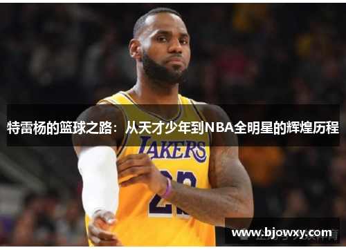 特雷杨的篮球之路：从天才少年到NBA全明星的辉煌历程